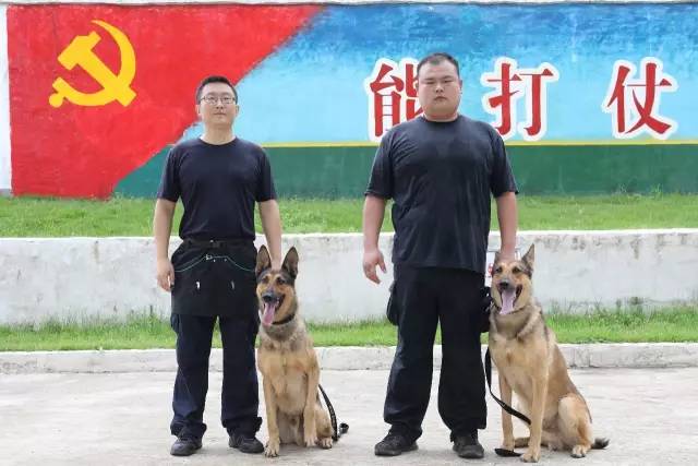为什么篮球后卫需要特别的体能训练_0